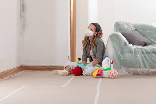 Trusted Mold Inspection service in Brooks, KY - WQB Mold Removal